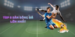 Top 5 Sân Bóng Đá Lớn Nhất
