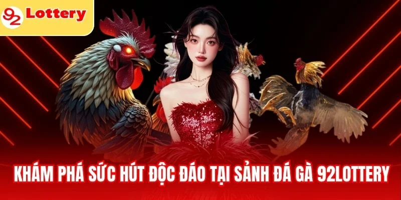 Khám phá sức hút độc đáo tại sảnh đá gà 92lottery